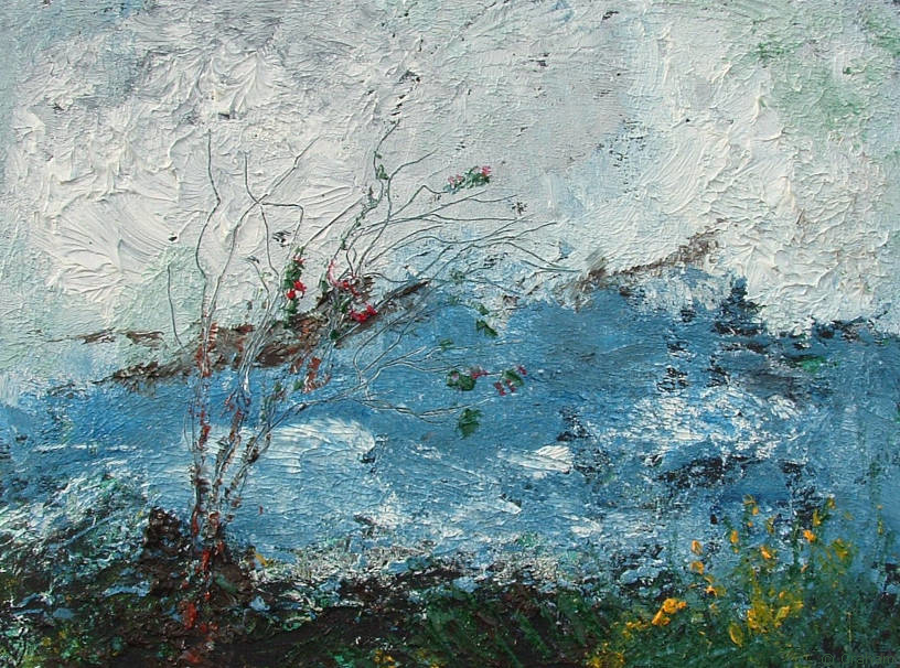 Old Fuchsia on the Headland